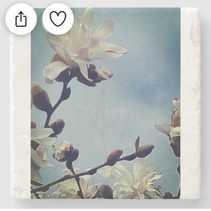 🐐🐐♑️Meditation block